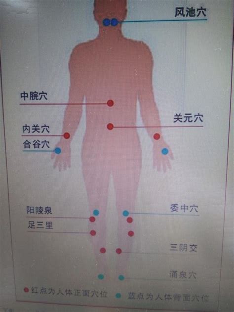 關位源|關元穴位置 